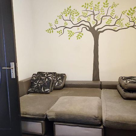 براشوف Limon Studios المظهر الخارجي الصورة