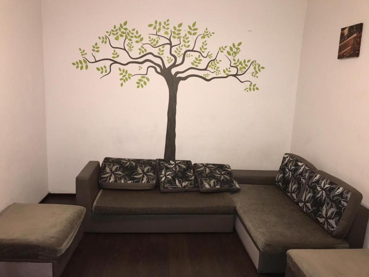 براشوف Limon Studios المظهر الخارجي الصورة